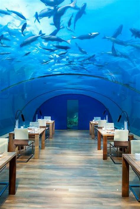 Conrad Maldives :The World's First Underwater Resort | Hadley Court