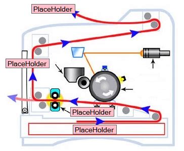 CompTIA A+ Lab Exercises: Printer Components