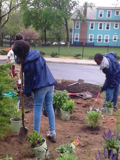 Dispatch From the School Garden Crew: Hexagonal Beds & Butterfly ...