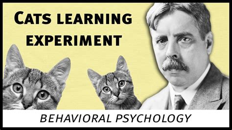 Edward Thorndike cats experiment (behavioral psychology) - YouTube