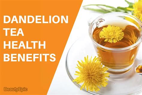 13 Amazing Benefits Of Dandelion Tea For Your Health And Skin In 2024