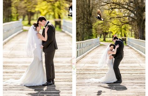 17 Of The Internet's Best Wedding Photobombs | Wedded Wonderland