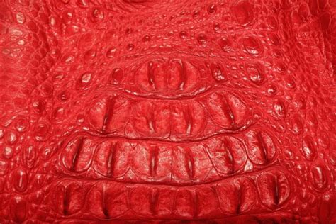 Red crocodile skin texture — Stock Photo © daughter #23292168