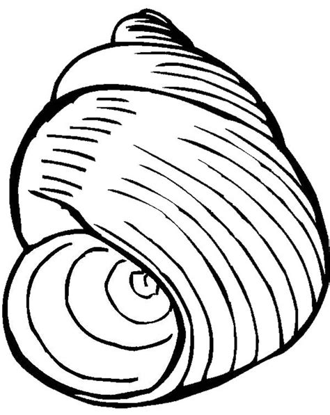 Shell #163165 (Nature) – Free Printable Coloring Pages