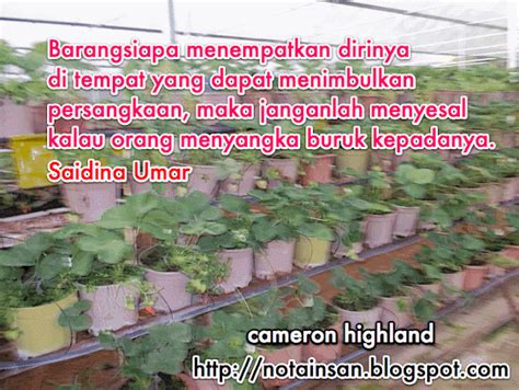 Kata kata hikmah | Mutiar kata |Motivasi | saidina umar | - Nota Insan ...