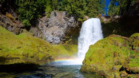 Visit Corvallis: 2021 Travel Guide for Corvallis, Oregon | Expedia