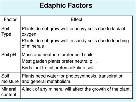 PPT - Ch 3 Introduction to Ecology PowerPoint Presentation, free ...