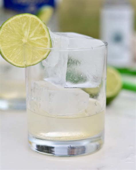 Vodka Lime Seltzer | 4 Simple Ingredients | The Oven Light