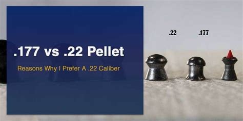 .177 vs .22 Pellet - Reasons Why I Prefer a .22 Caliber | Range targets, Hunting, Long distance