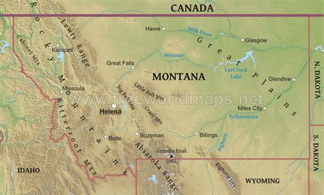 Relief Map Of Montana