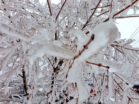 Video and images from the eastern Canada ice storm | Globalnews.ca