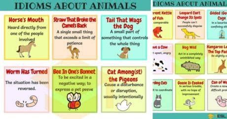 Animal Idioms: 165 Useful Animal Idioms from A-Z • 7ESL