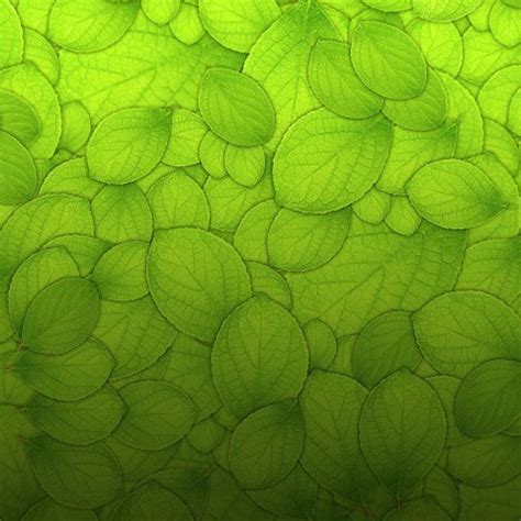 🔥 Green Texture Background Wallpaper HD | CBEditz