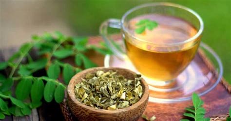 Miracle in a Cup: 5 Incredible Health Benefits of Moringa Tea