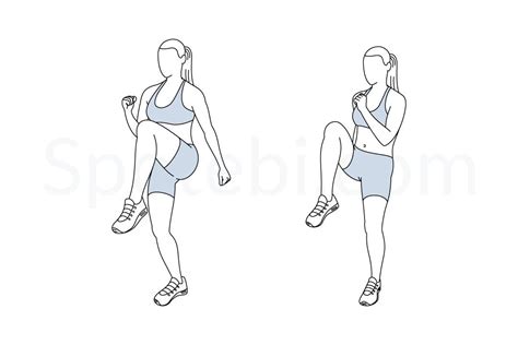 High Knees | Illustrated Exercise Guide | Workout guide, High knee exercise, Leg workout