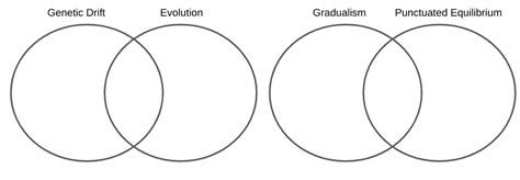 Venn Diagram #3 and #4 (Genetic Drift vs. Evolution and Gradualism vs ...