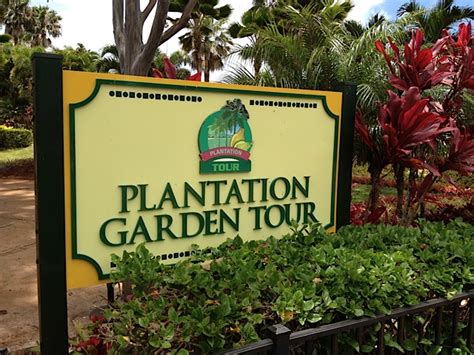 The Hopeful Traveler: Dole Plantation: Plantation Garden Tour in Photos