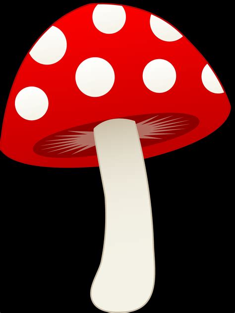 edible mushroom - Clip Art Library