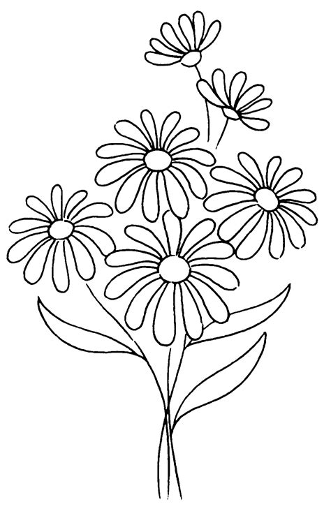 Daisy Coloring Pages – Printable Coloring Pages
