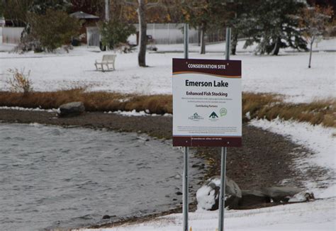 Late Season Algae Blooms - HighRiverOnline.com - Local news, Weather, Sports, Free Classifieds ...