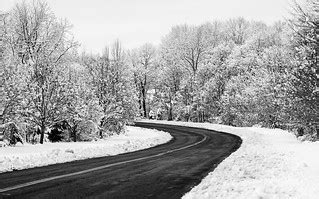 Ice Storm Photographs - brenPhotography -Branding, Headshot & Portrait ...