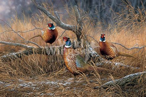 Rosemary Millette - ArtBrandStudios.com | Hunting art, Wildlife art ...