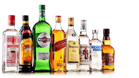 21 Types of Liquor: Alcohols of the World - MyBartender