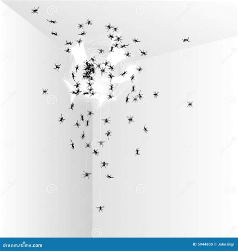 Spider egg hatching stock vector. Illustration of cocoon - 5944800