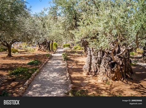 Jerusalem, Israel. Image & Photo (Free Trial) | Bigstock