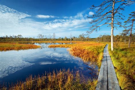 Places to Visit in Estonia - Lahemaa Day Trip - Nordic Experience