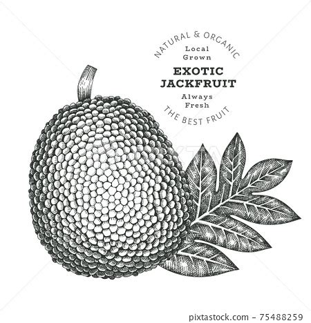 Hand drawn sketch style jackfruit. Organic... - Stock Illustration ...