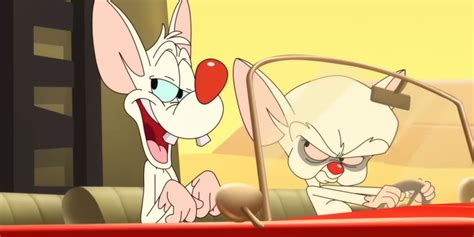 Animaniacs: Rob Paulsen & Maurice LaMarche Explain How Pinky & the Brain is Secretly a Love Story