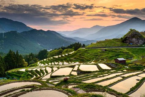 Most Beautiful Rice Field Terraces in Japan - Private Tours Japan