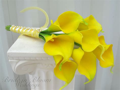 Free photo: Yellow Calla Lilies - Bloom, Blossoms, Closeup - Free Download - Jooinn