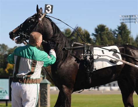 Saratoga Harness racing - winner | 1st race winner, #3 Rapha… | Flickr