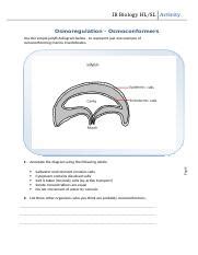 Exploring Osmoconformers in Marine Life: Annotated Diagram and | Course Hero