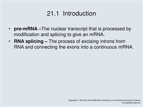 PPT - Chapter 21 RNA Splicing and Processing PowerPoint Presentation ...