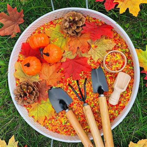 Autumn Theme Sensory Rice Bin Pumpkin Play Kit Sensory Tuff Tray Activity | Tuff tray, Autumn ...