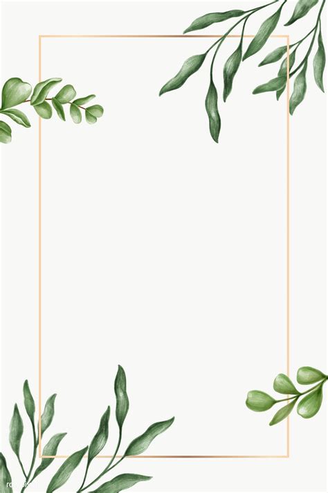 Green leaves frame transparent png | premium image by rawpixel.com ...