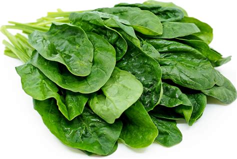 Featured Specialty Crop – Spinach! | Atchison Farmers' Market