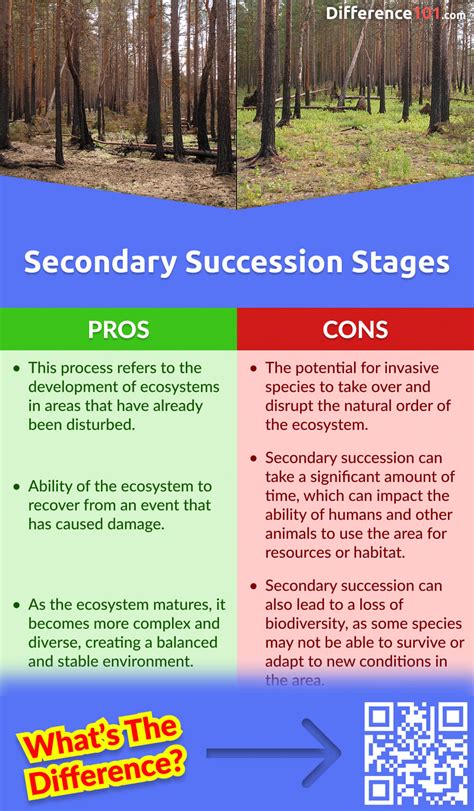 Primary Succession vs. Secondary Succession Stages: 6 Key Differences ...