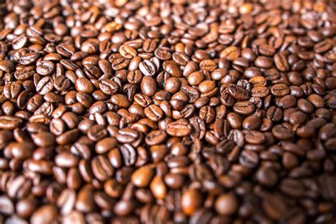 Espresso Beans Vs Coffee Beans: Know The Difference - TechLifeLand