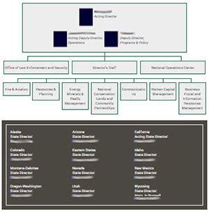 Organizational Chart Of Bureau Of Customs