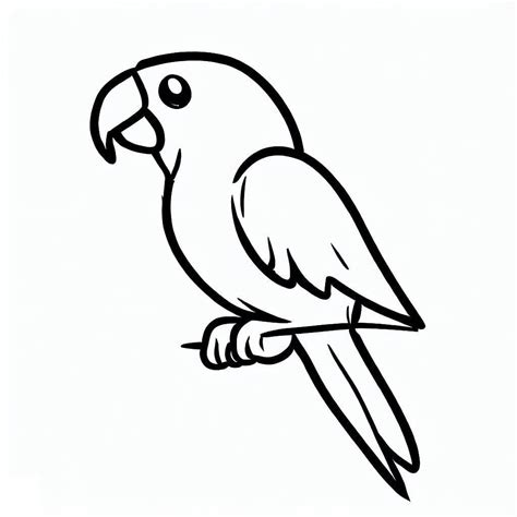 Parrot Pictures For Coloring - Infoupdate.org