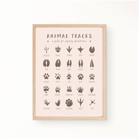 Animal Tracks Educational Posters Watercolor Montessori Printable Nursery Decor Outdoor ...