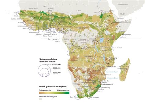 Land Grab