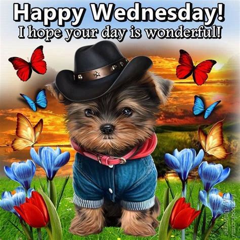 Cute Pup Happy Wednesday wednesday wednesday quotes happy wednesday ...