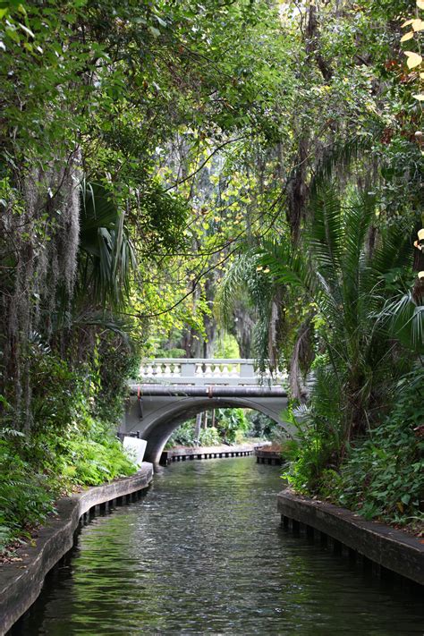 Winter Park’s Scenic Boat Tour. so beautiful! i had a blast doing this! | Visit florida, Florida ...