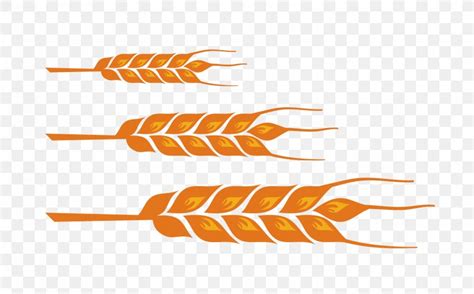 Wheat Color Design Vector Material, PNG, 1594x992px, Designer, Clip Art, Orange, Product Design ...