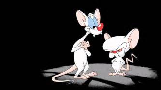 Pinky and the Brain Theme Song Intro HQ with Lyrics - YouTube